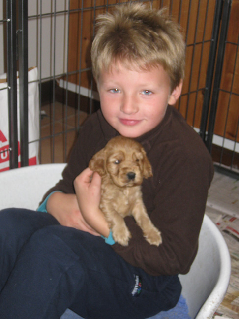 Dragongrdens Kennel